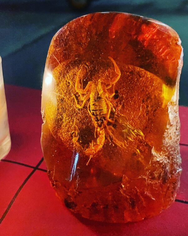 Antares Scorpion Altar Main Antares Scorpion Altar Main