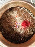 EFE09A62-9599-40E8-AF91-2B61417E8814