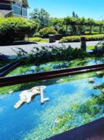 Mercury in Gemini Altar Keys door-key