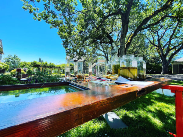 Mercury in Gemini Altarscape side door Mercury in Gemini Altarscape side door