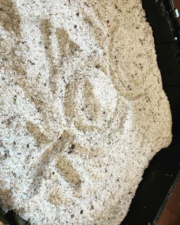 Mercury in Gemini Bath Salt