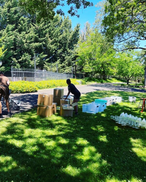 Mercury in Gemini Delivery Boxes Mercury in Gemini Delivery Boxes