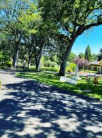 Mercury in Gemini Delivery truck 2