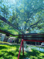 Mercury in Gemini Door Altar Main