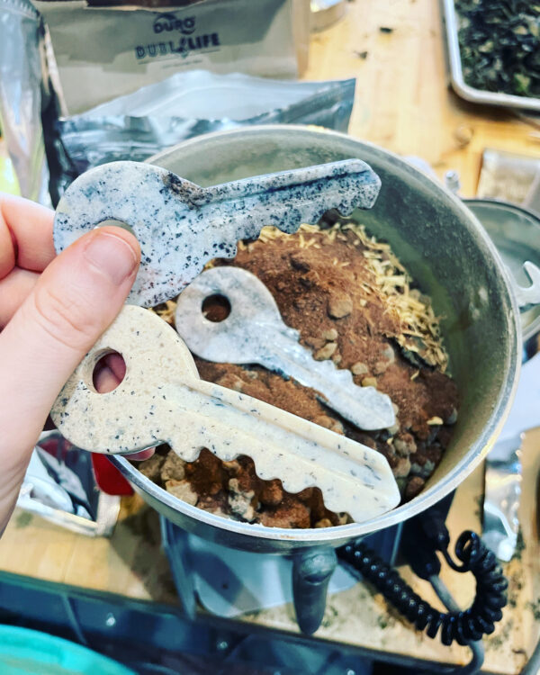 Mercury in Gemini Door-Key Mercury in Gemini Door-Key