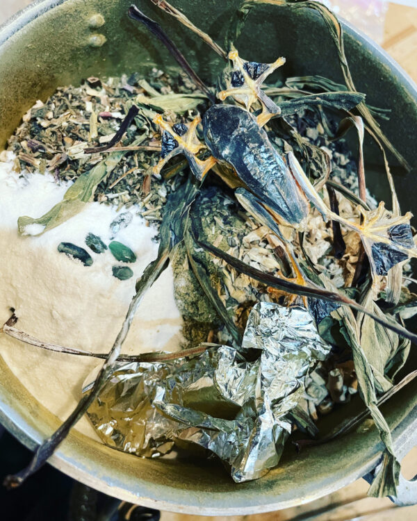 Mercury in Gemini Froggy 1