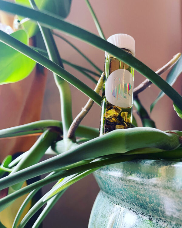 Mercury in Gemini Froggy Oil Mercury in Gemini Froggy Oil