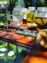 Mercury in Gemini Froggy sync lizard altar