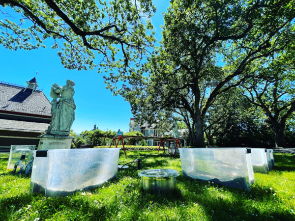Mercury in Gemini Herb Bins Mercury in Gemini Herb Bins