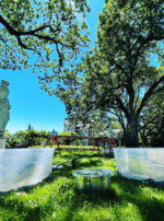 Mercury in Gemini Herb Bins