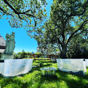 Mercury in Gemini Steep + Smoke