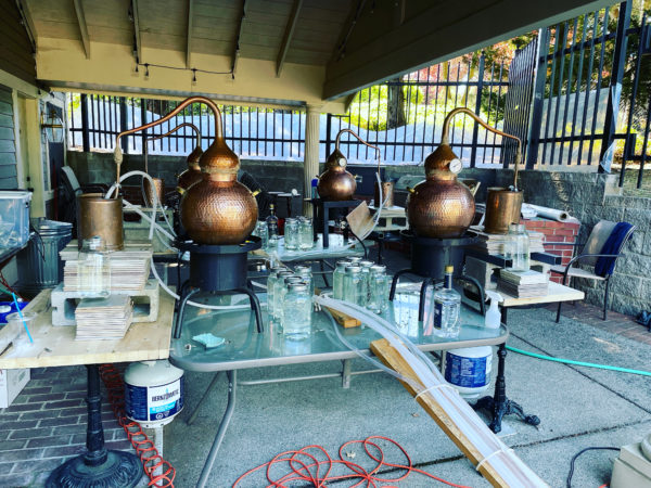 Mercury in Gemini Hydrosol Water