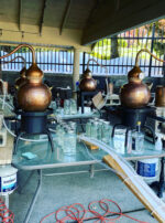 Mercury in Gemini Hydrosol Water