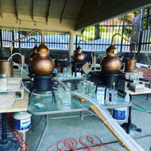 Water of Mercury in Gemini