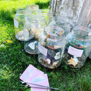 Mercury in Gemini Lip Balm