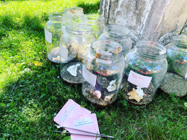 Mercury in Gemini Oil Anointing Mercury in Gemini Oil Anointing