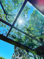 Mercury in Gemini Sky through door altarscape altar main