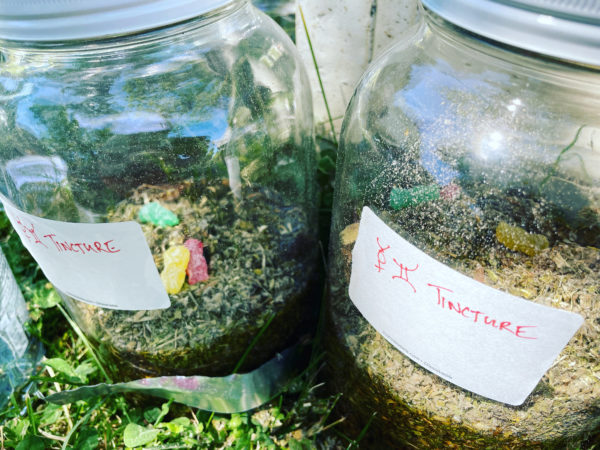 Mercury in Gemini Tincture Mercury in Gemini Tincture