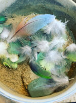 Mercury in Gemini parrot feathers main series incense powder