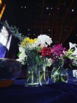 Thema Mundi Honey Jupiter Tour