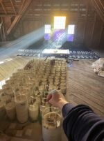 Thema Mundi Jupiter Candles Hand