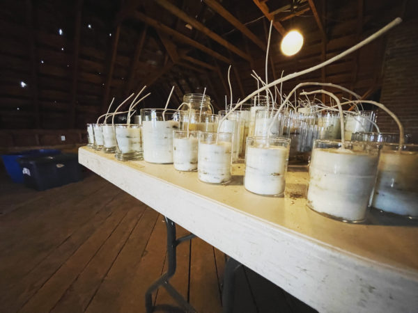 Thema Mundi Jupiter Candles Wicks Up Thema Mundi Jupiter Candles Wicks Up