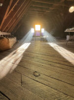 Thema Mundi Jupiter Window Light Long Wings