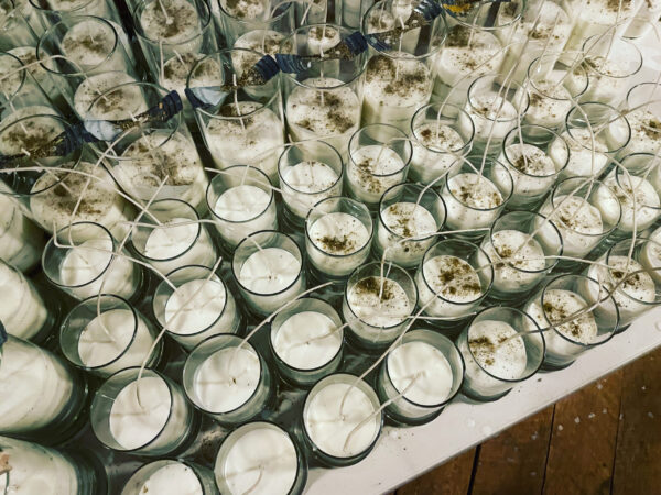 Thema Mundi Venus Candles Thema Mundi Venus Candles