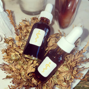 Son of Apollo Attuning Tincture