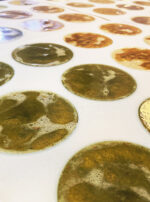 Son of Apollo Soaps 2