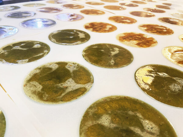 Son of Apollo Soaps 2 Son of Apollo Soaps 2