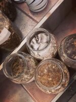 Saturn in Aquarius Anointing Oil Main