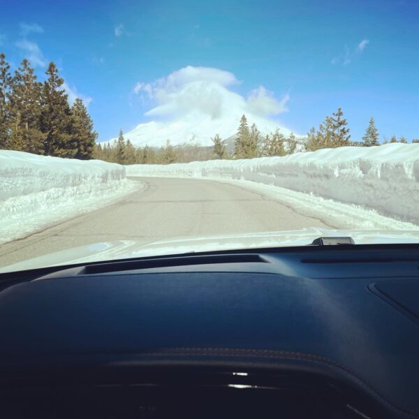 Saturn in Aquarius Driving to Shasta Waters Kolonias Saturn in Aquarius Driving to Shasta Waters Kolonias