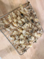 Saturn in Aquarius Incense Powder