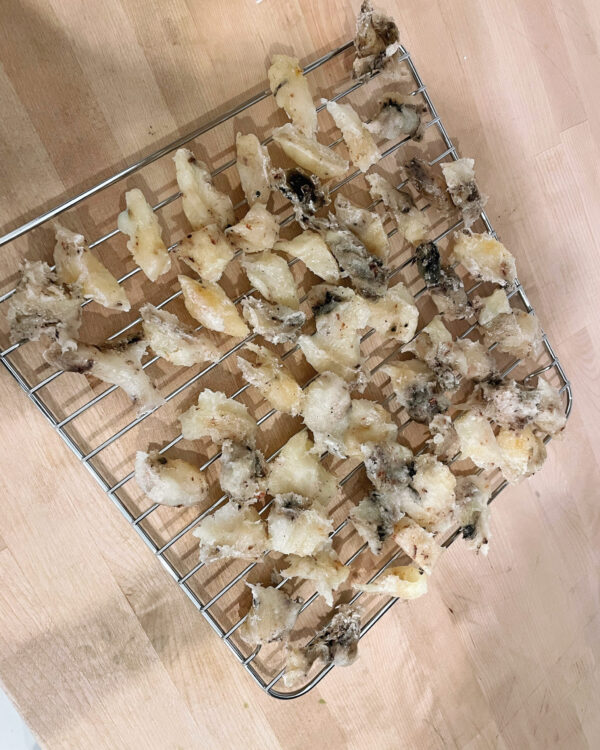 Saturn in Aquarius Incense Powder Saturn in Aquarius Incense Powder