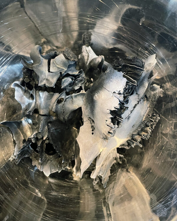 Saturn in Aquarius Ink