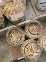 Saturn in Aquarius Main Anointing Oil Solomon's Seal