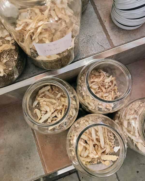 Saturn in Aquarius Main Anointing Oil Solomon's Seal Saturn in Aquarius Main Anointing Oil Solomon's Seal