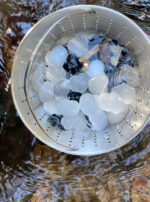 Saturn in Aquarius Mt. Shasta Purifying Stones Talismans