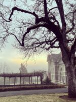 Saturn in Aquarius Nunan House