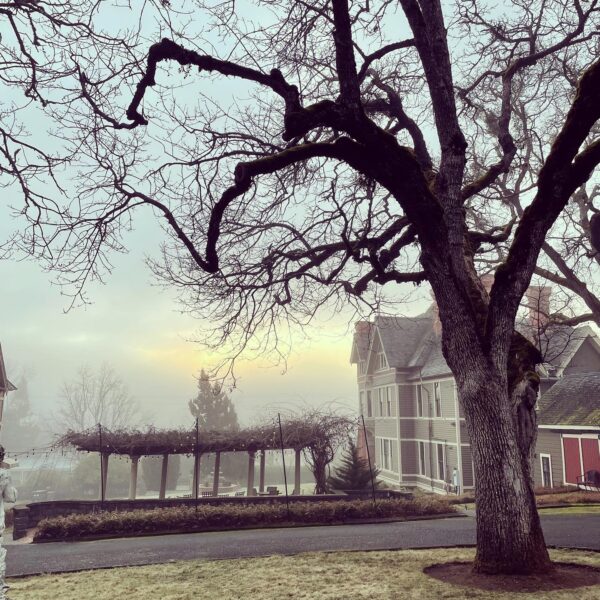 Saturn in Aquarius Nunan House