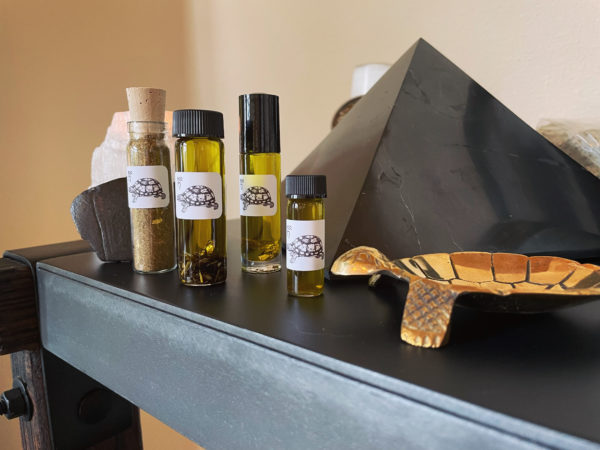 Saturn in Aquarius Tortoise Saturn in Aquarius Tortoise