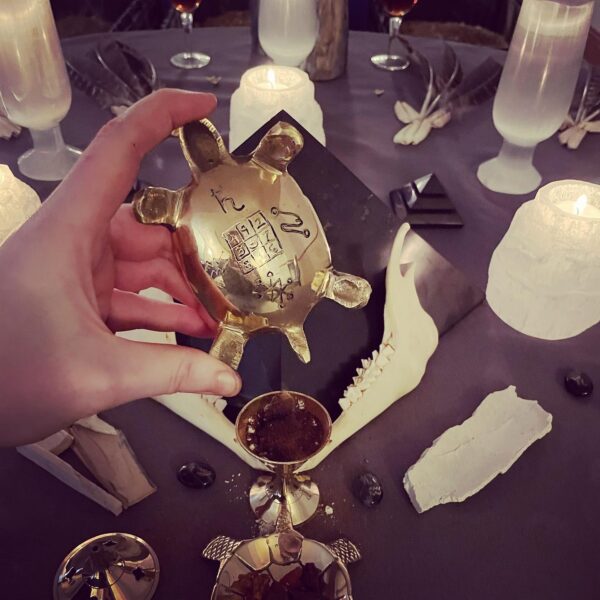 Saturn in Aquarius Tortoise Talisman Saturn in Aquarius Tortoise Talisman