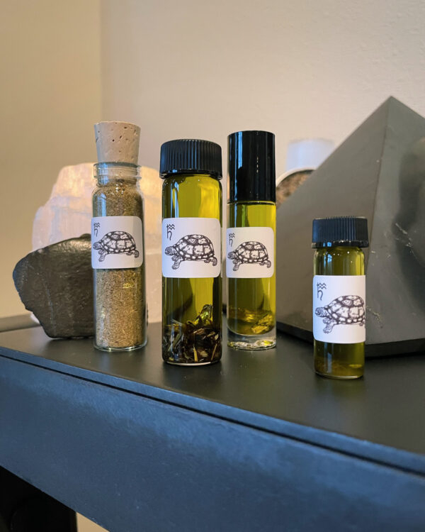 Saturn in Aquarius Tortoise Tall Saturn in Aquarius Tortoise Tall