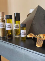 Saturn in Aquarius Tortoise