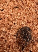 Mars Jupiter in Aries Bath Salts