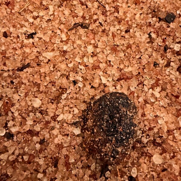 Mars Jupiter in Aries Bath Salts