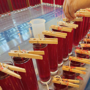 Mars-Jupiter Candles