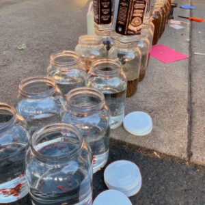 Mars-Jupiter Tincture