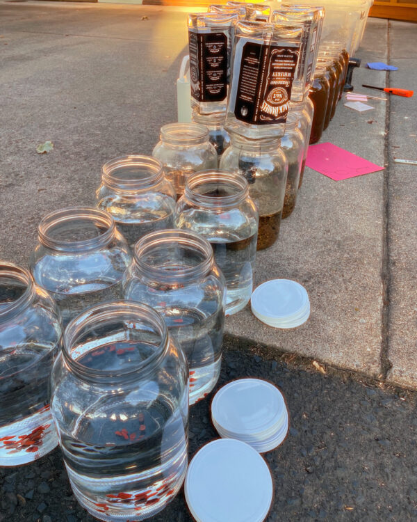 Mars-Jupiter Kolonia Tincture